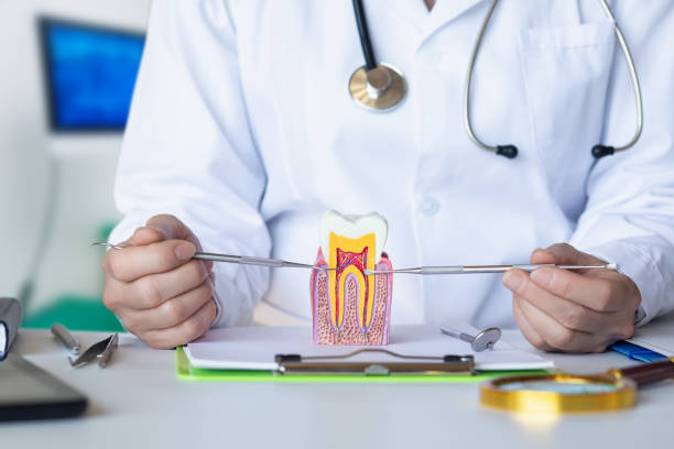Best Mobile Emergency Dentist in Parchment, MI